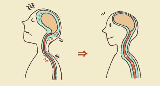 脳脊髄液の流れを促進する図